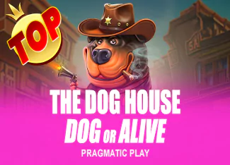 The Dog House – Dog or Alive